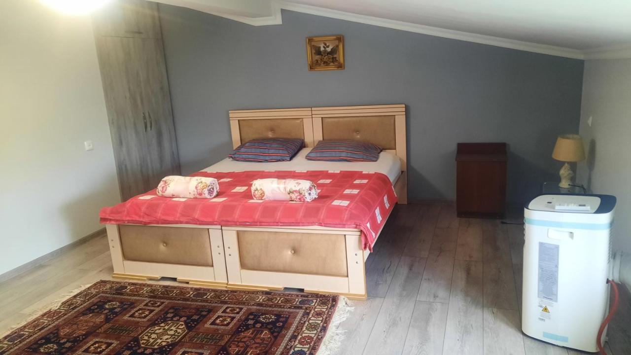 Victoria Guesthouse كوتايسي الغرفة الصورة